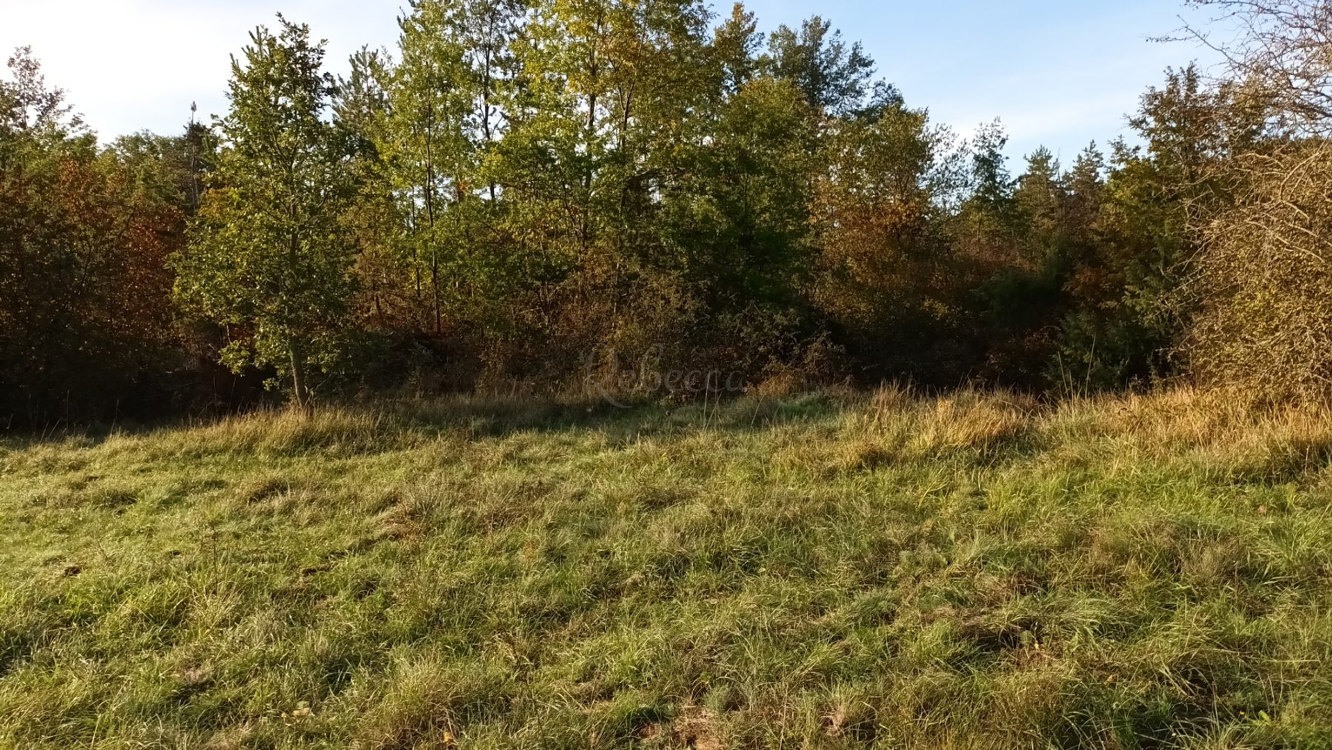 Działka Na sprzedaż -  Bazgalji