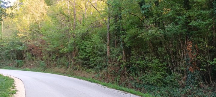 Land for sale 36928 m² – Pazin