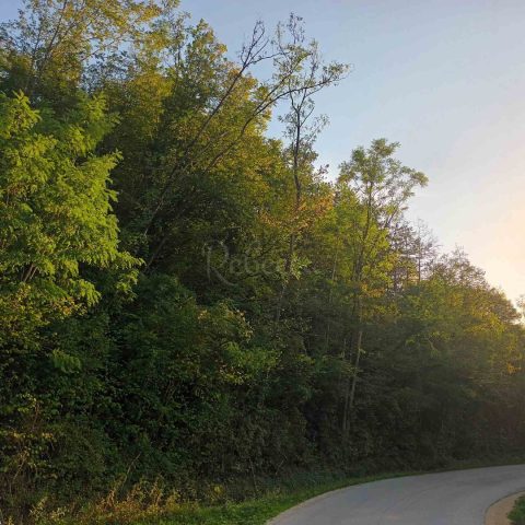 Grundstück Zu verkaufen - Istarska Pazin - foto 2/4
