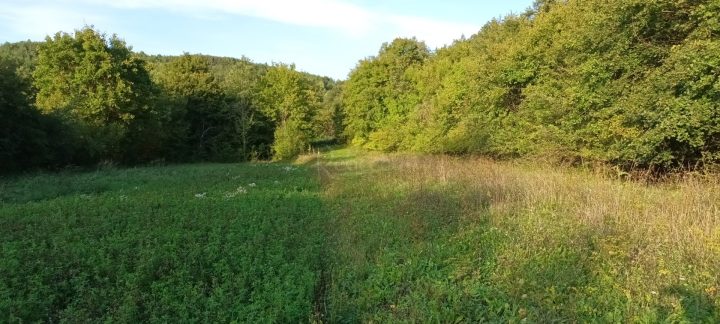 Parcela Naprodaj - Istarska Pazin - foto 5/10
