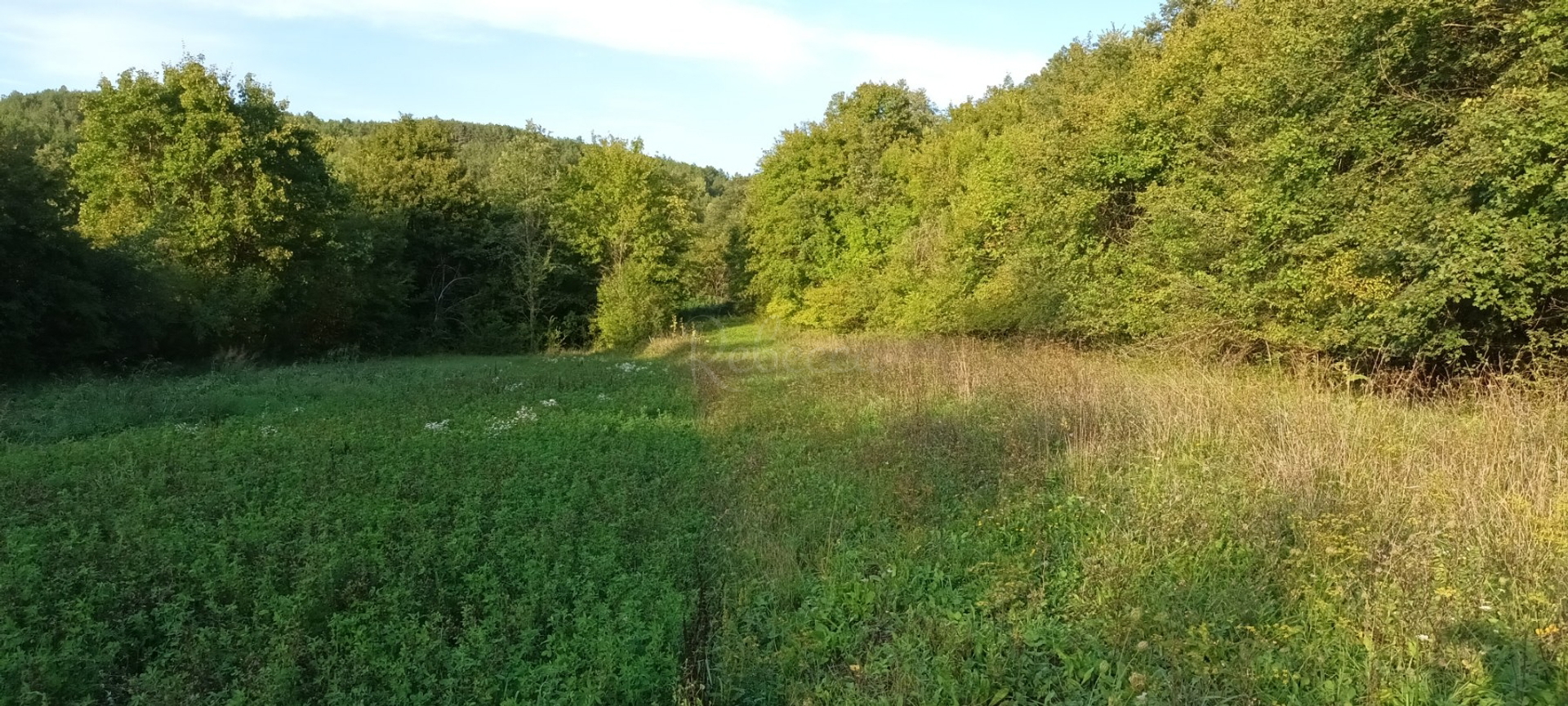 Terrain À vendre - Istarska Pazin
