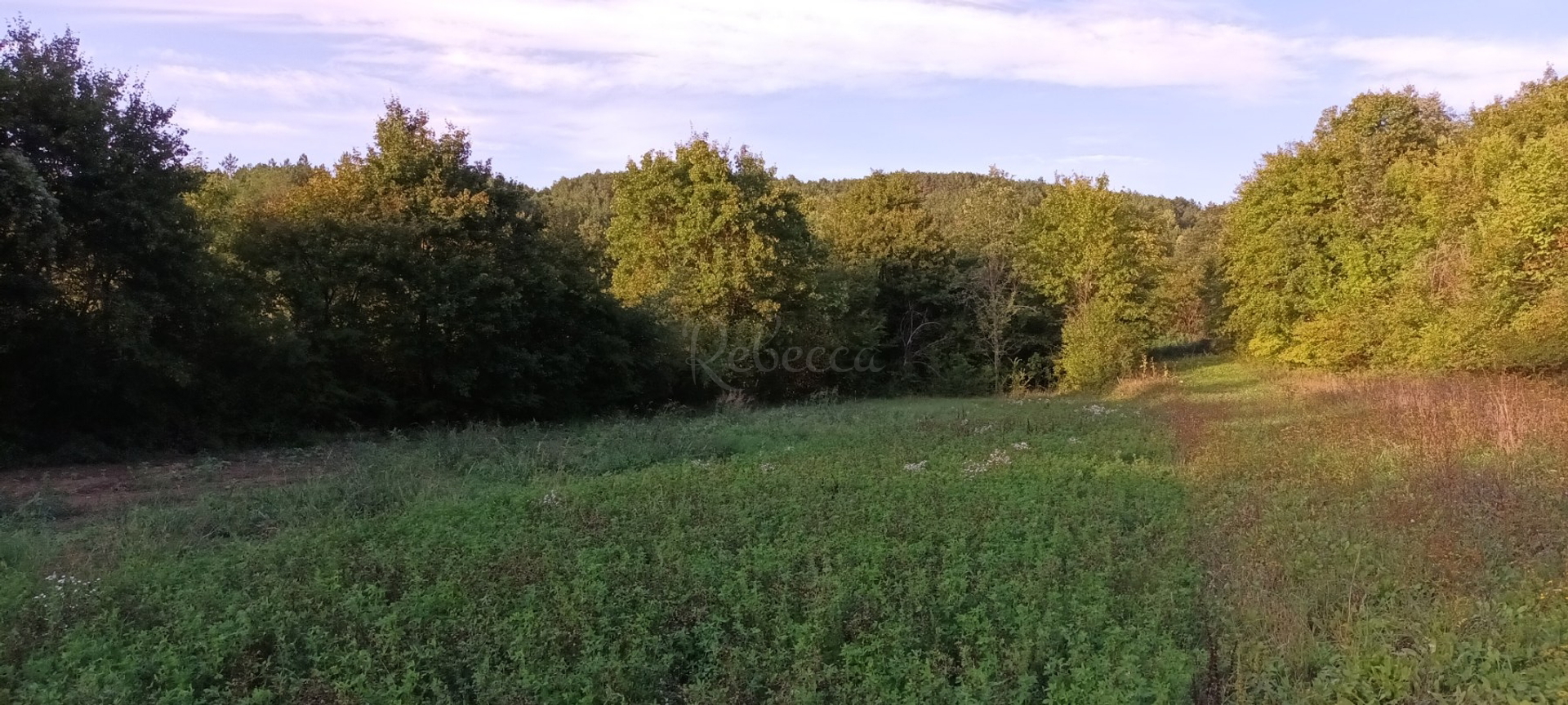 Terrain À vendre - Istarska Pazin