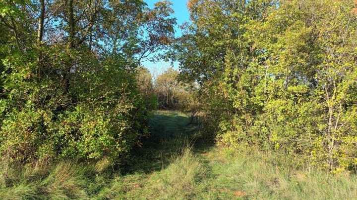 Grundstück zu verkaufen 7600 m² – Barban