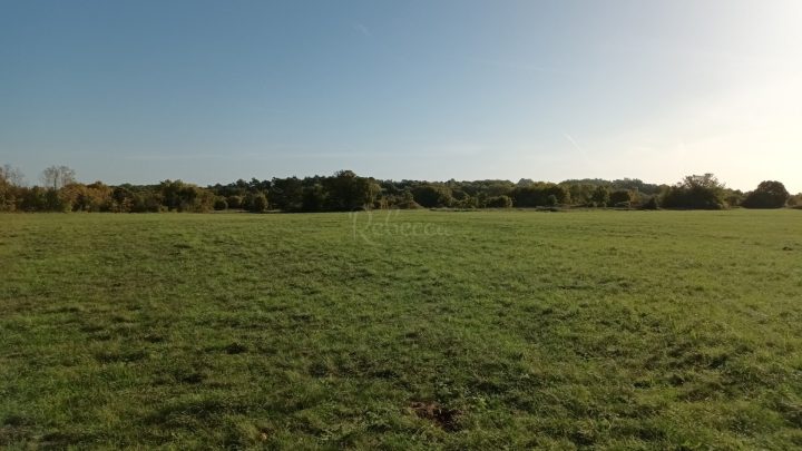 Terrain À vendre - Istarska Barban - foto 4/11