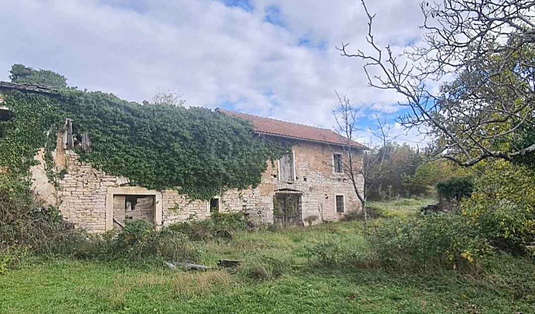 House For sale - Oprtalj - foto 4/13