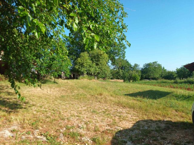 Grundstück zu verkaufen 76000 m² – Pićan