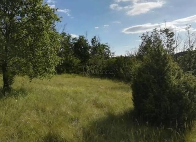 Parcela Naprodaj - Istarska Sveta Katarina - foto 2/4