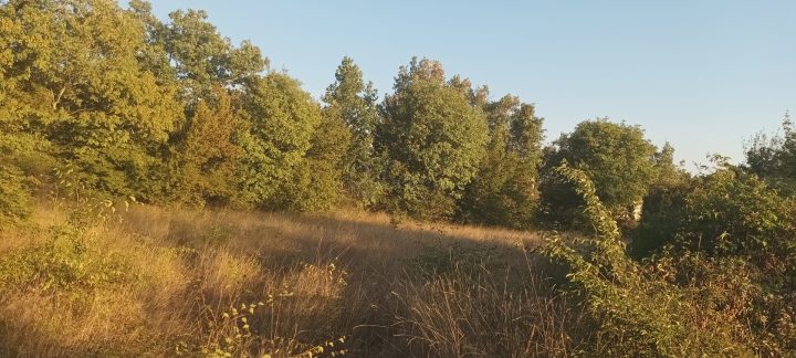 Parcela Naprodaj - Istarska Sveta Katarina - foto 4/4