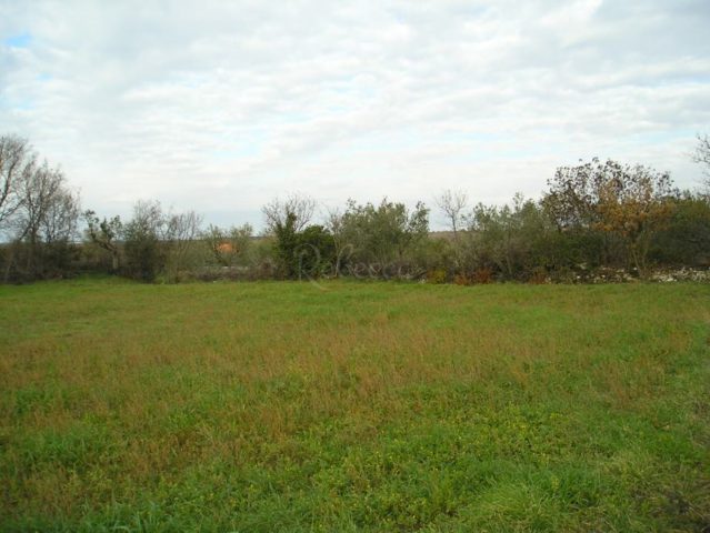 Terrain à vendre 2940 m² – Vodnjan