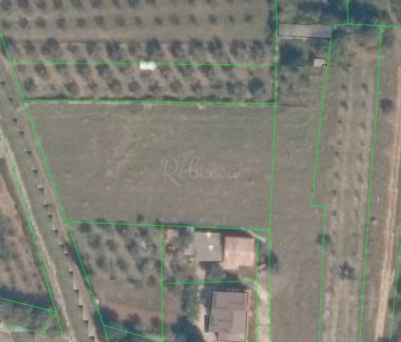 Land for sale 4583 m² – Vodnjan