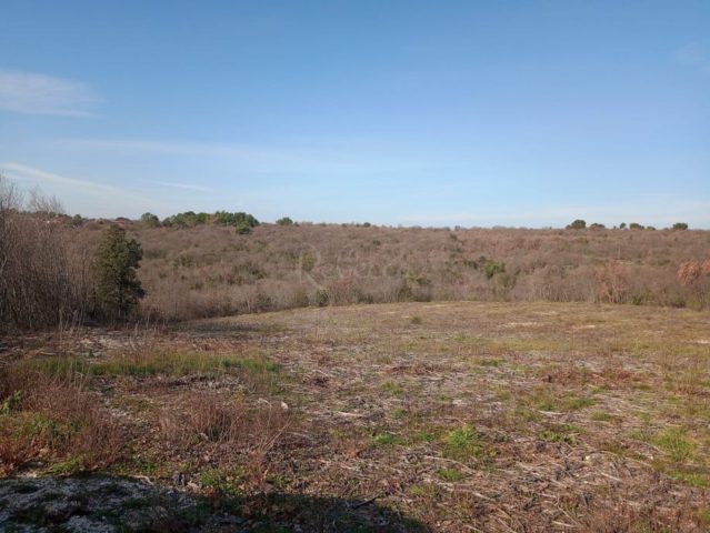 Land for sale 3624 m² – Barban
