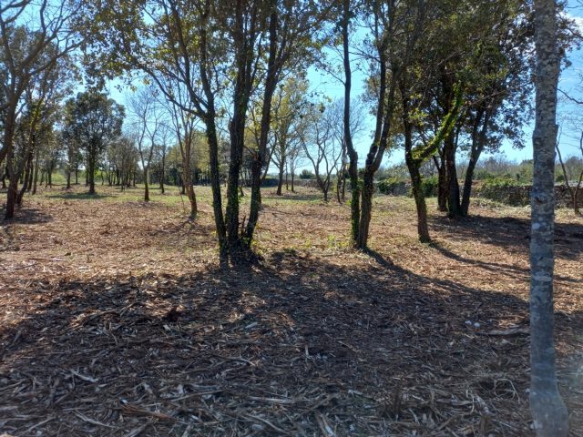 Terreno in vendita 10197 m² – Rakalj