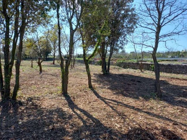 Terreno In vendita - Istarska Rakalj - foto 2/2
