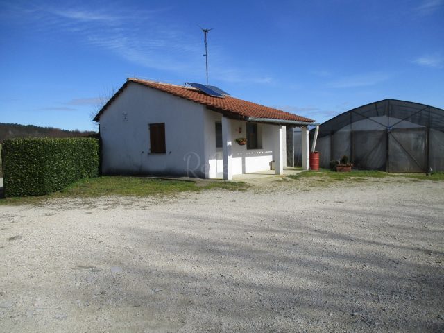 Grundstück zu verkaufen 9555 m² – Pazin