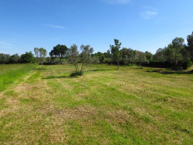 Terrain à vendre 2320 m² – Vodnjan