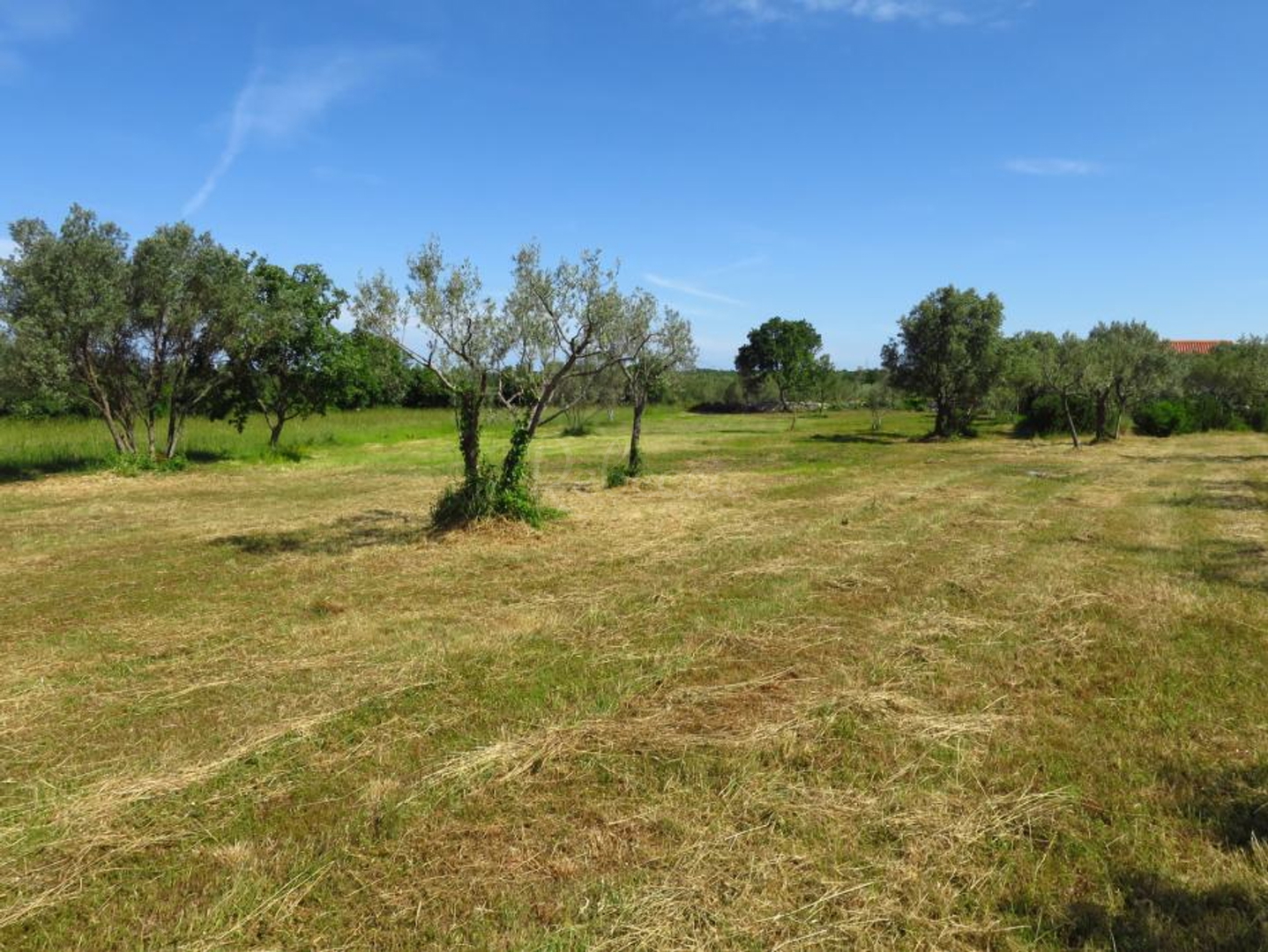Pozemok Na predaj - Istarska Peroj - foto 2/2