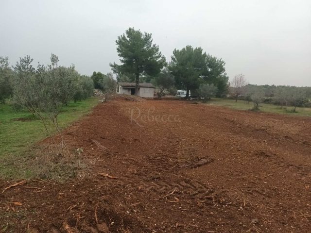 Pozemok na predaj 1870 m² – Fažana