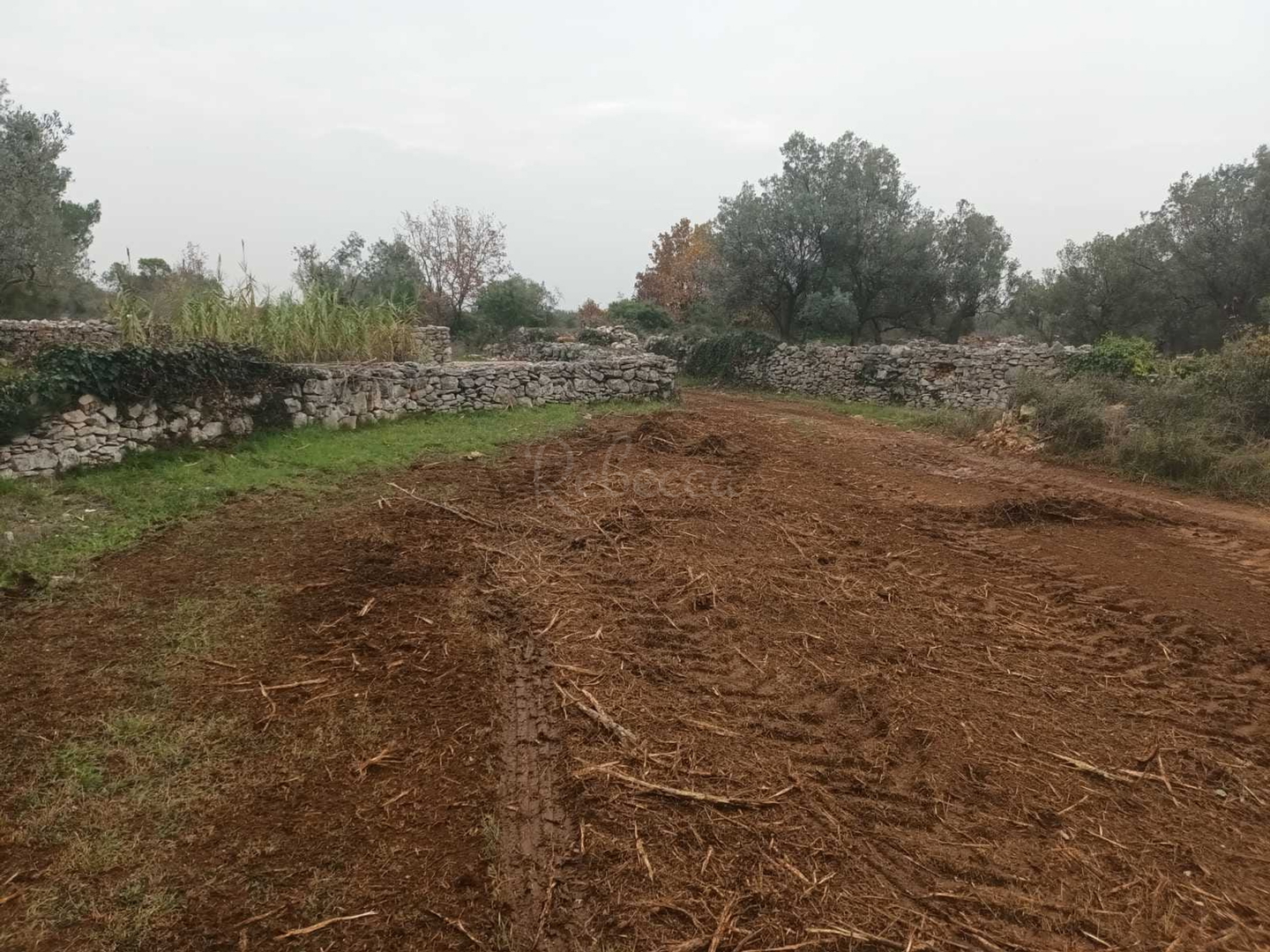 Terrain À vendre - Istarska Fažana - foto 2/2