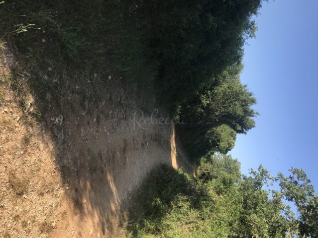 Pozemok na predaj 735 m² – Barban