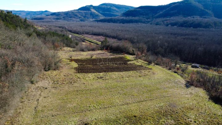 Pozemok na predaj 2380 m² – Motovun