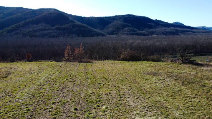 Grundstück Zu verkaufen - Istarska Motovun - foto 4/10