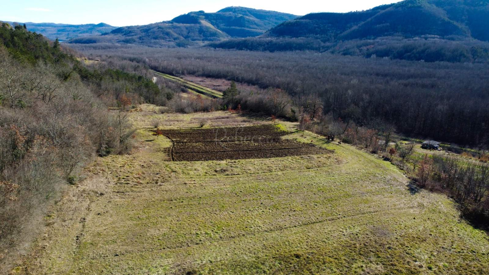 Land For sale Motovun