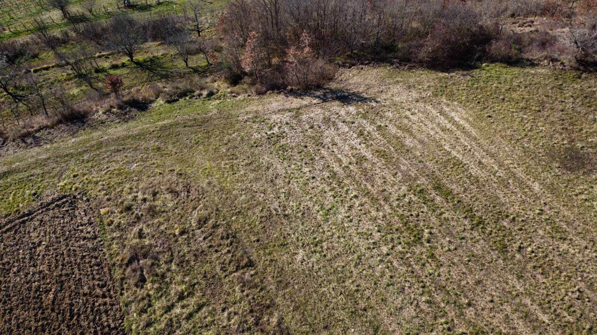 Land For sale -  Motovun
