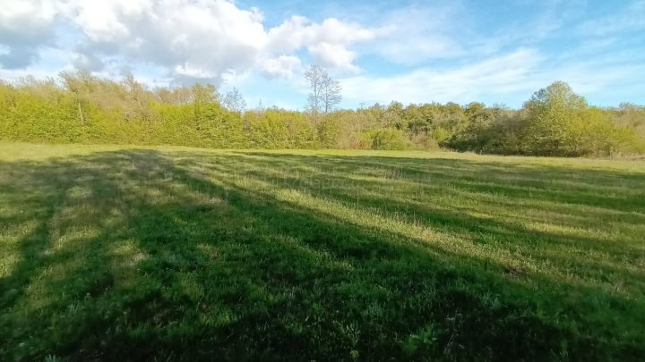 Land for sale 4996 m² – Barban