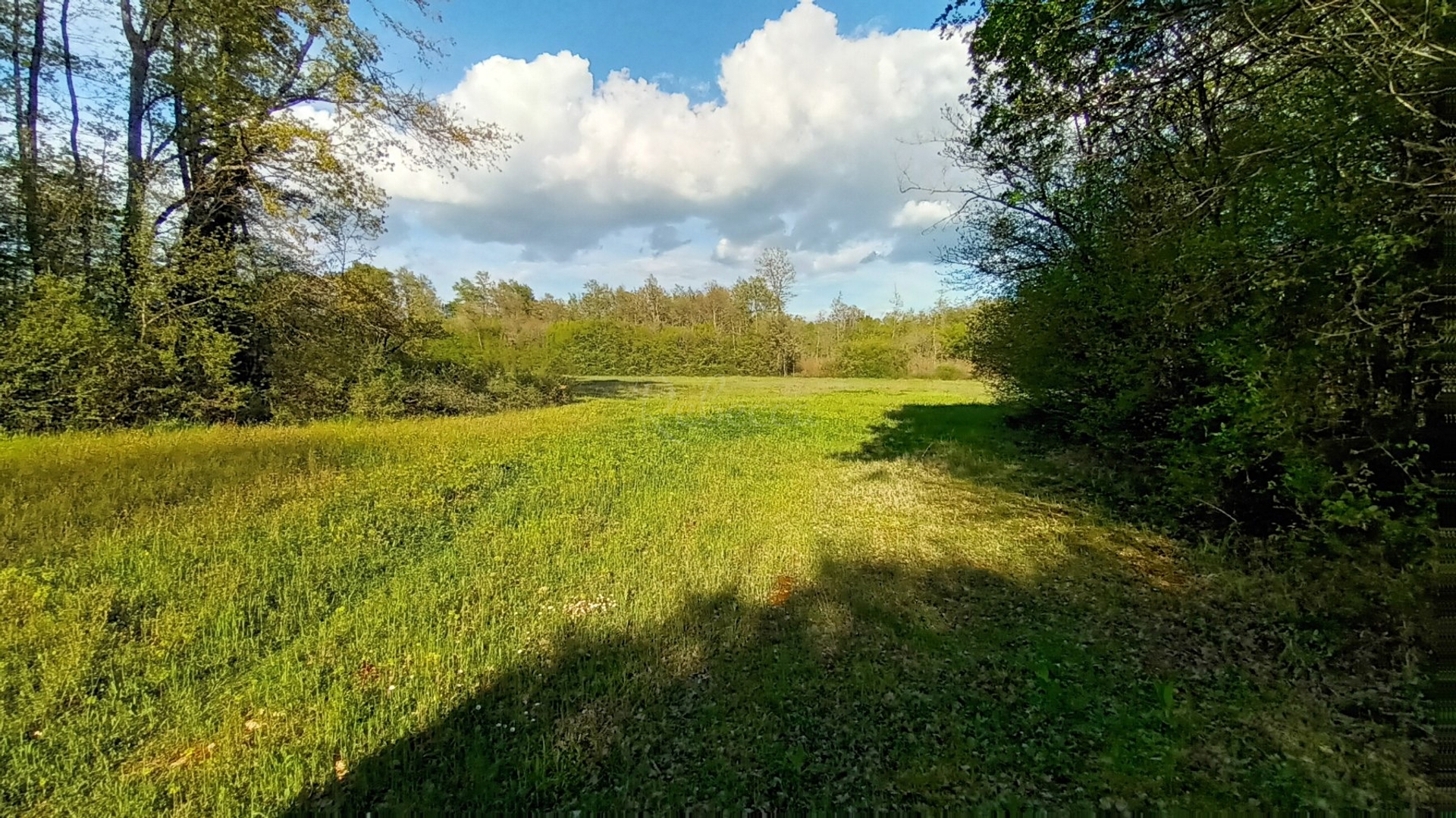 Terreno In vendita - Istarska Barban - foto 2/4