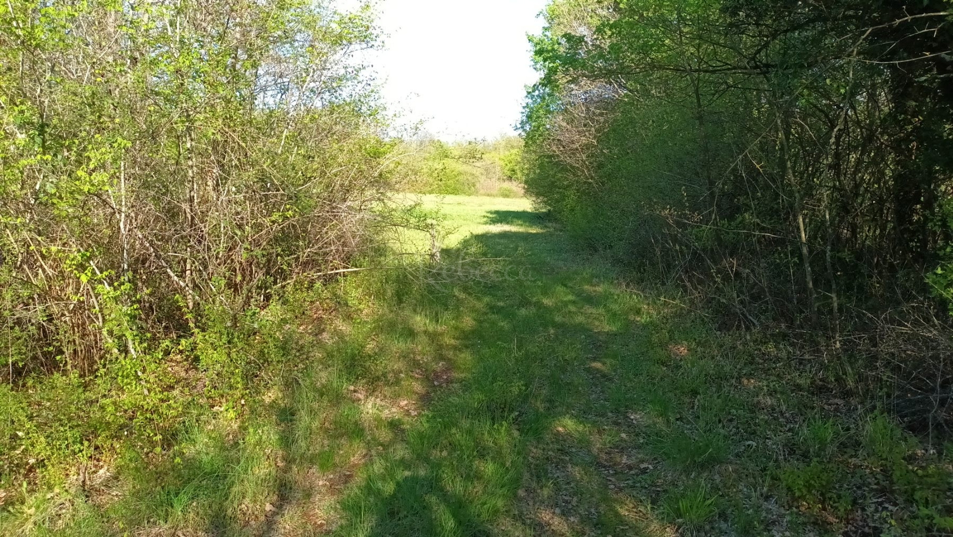 Terreno In vendita - Istarska Barban - foto 3/4