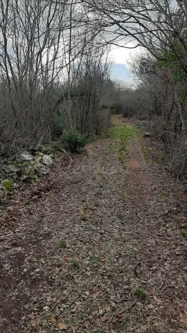 Parcela Naprodaj - Istarska Rakalj - foto 4/4