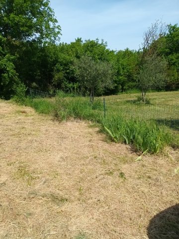 Pozemek Na prodej - Istarska Loborika - foto 4/4