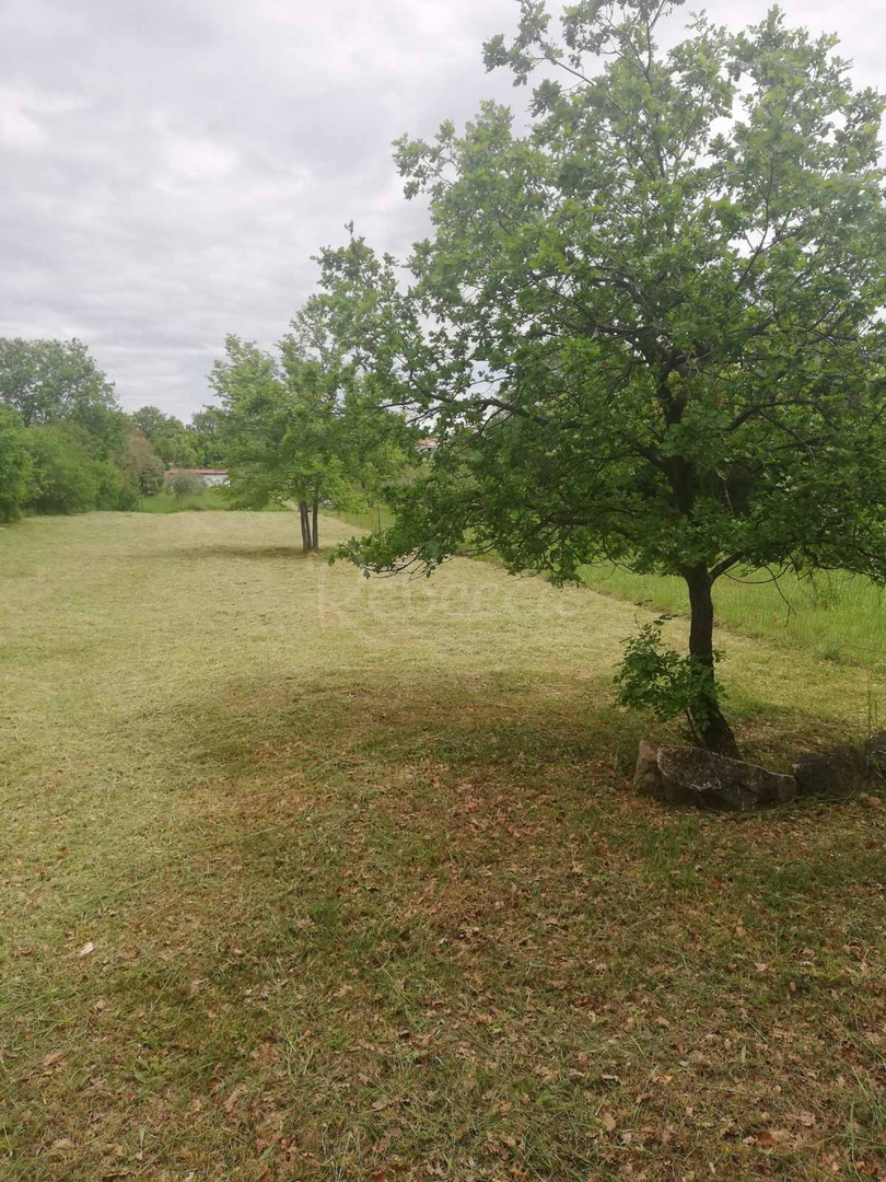 Terreno In vendita - Istarska Loborika - foto 1/4