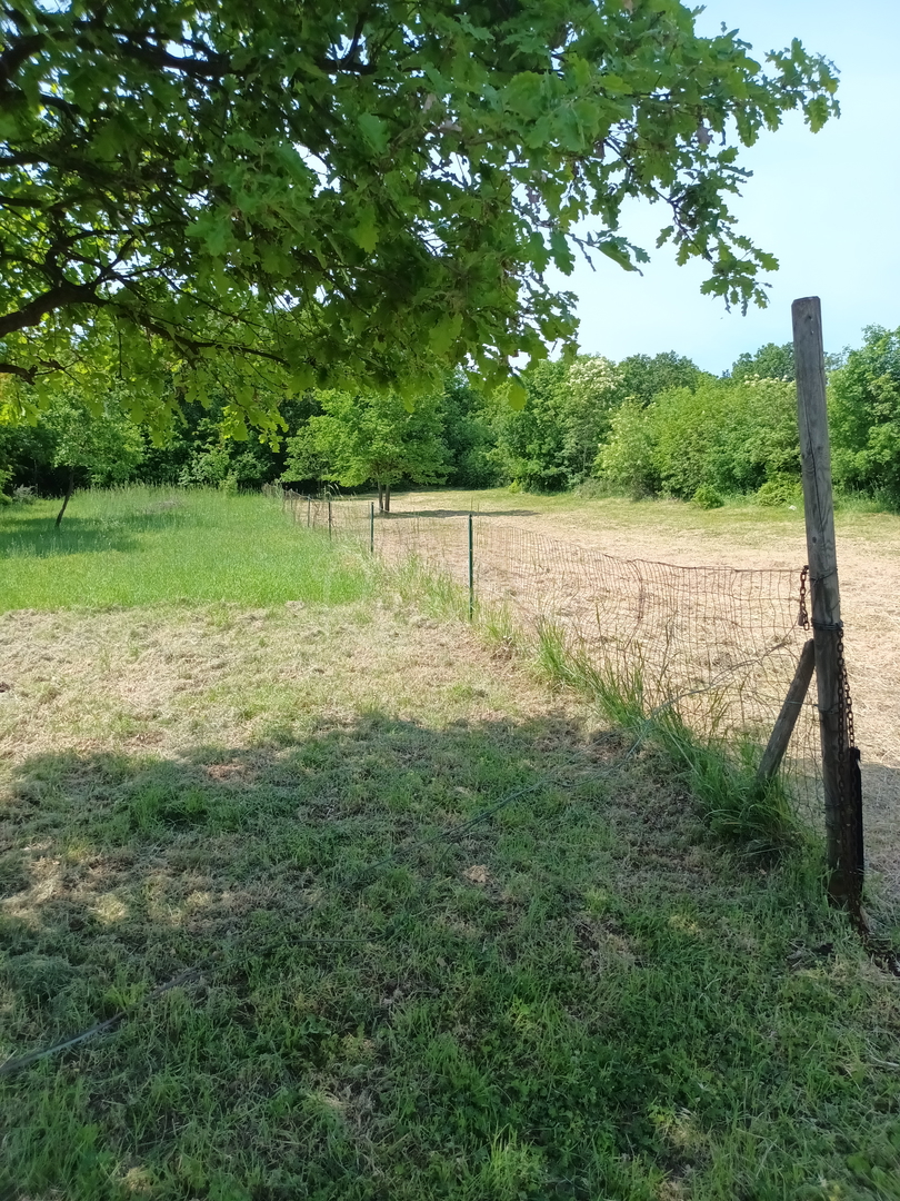 Terreno In vendita - Istarska Loborika - foto 2/4