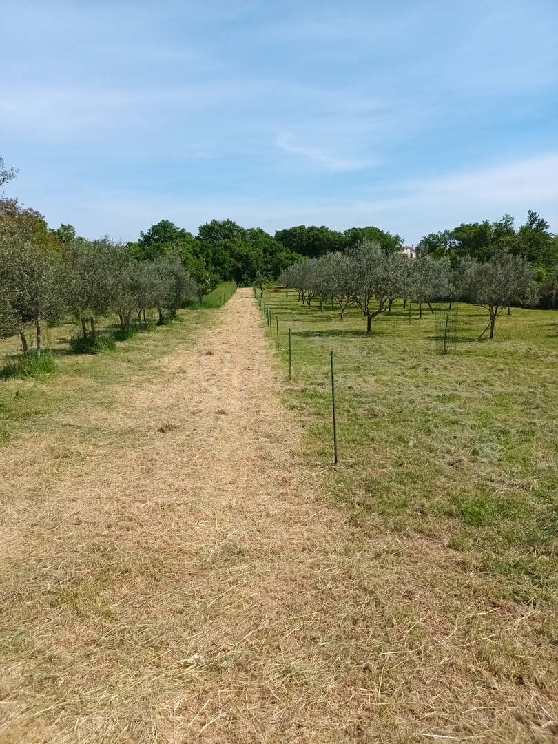 Terreno In vendita - Istarska Loborika - foto 3/4