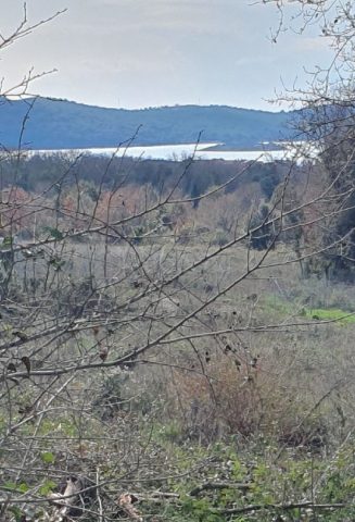 Land for sale 2497 m² – Medulin