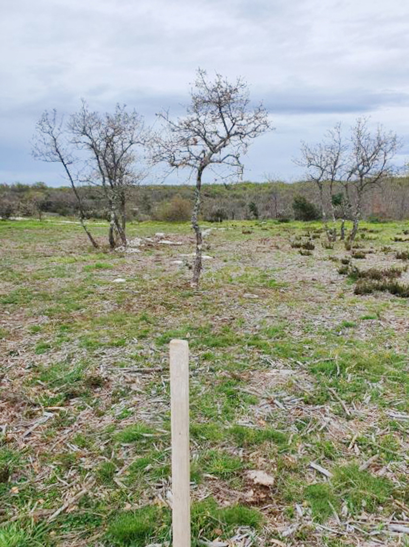 Terreno In vendita - Istarska Marčana