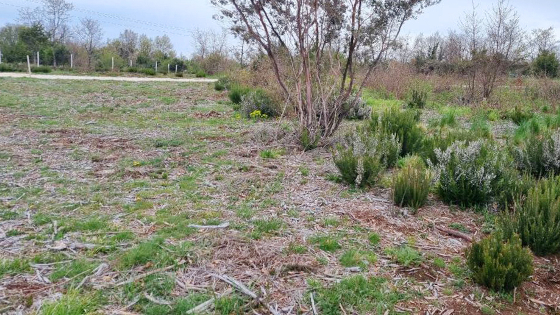 Terreno In vendita - Istarska Marčana