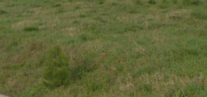 Land for sale 2741 m² – Pula