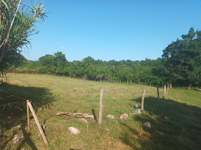 Land for sale 1773 m² – Pazin