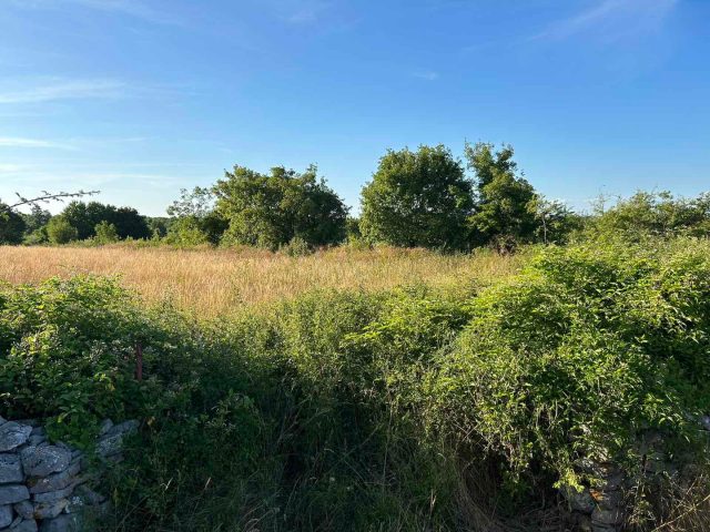 Pozemek na prodej 1381 m² – Barban