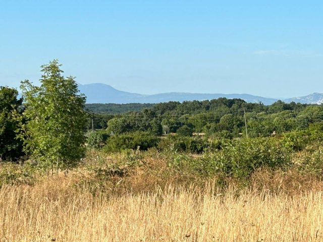 Działka Na sprzedaż - Istarska šajini - foto 4/5