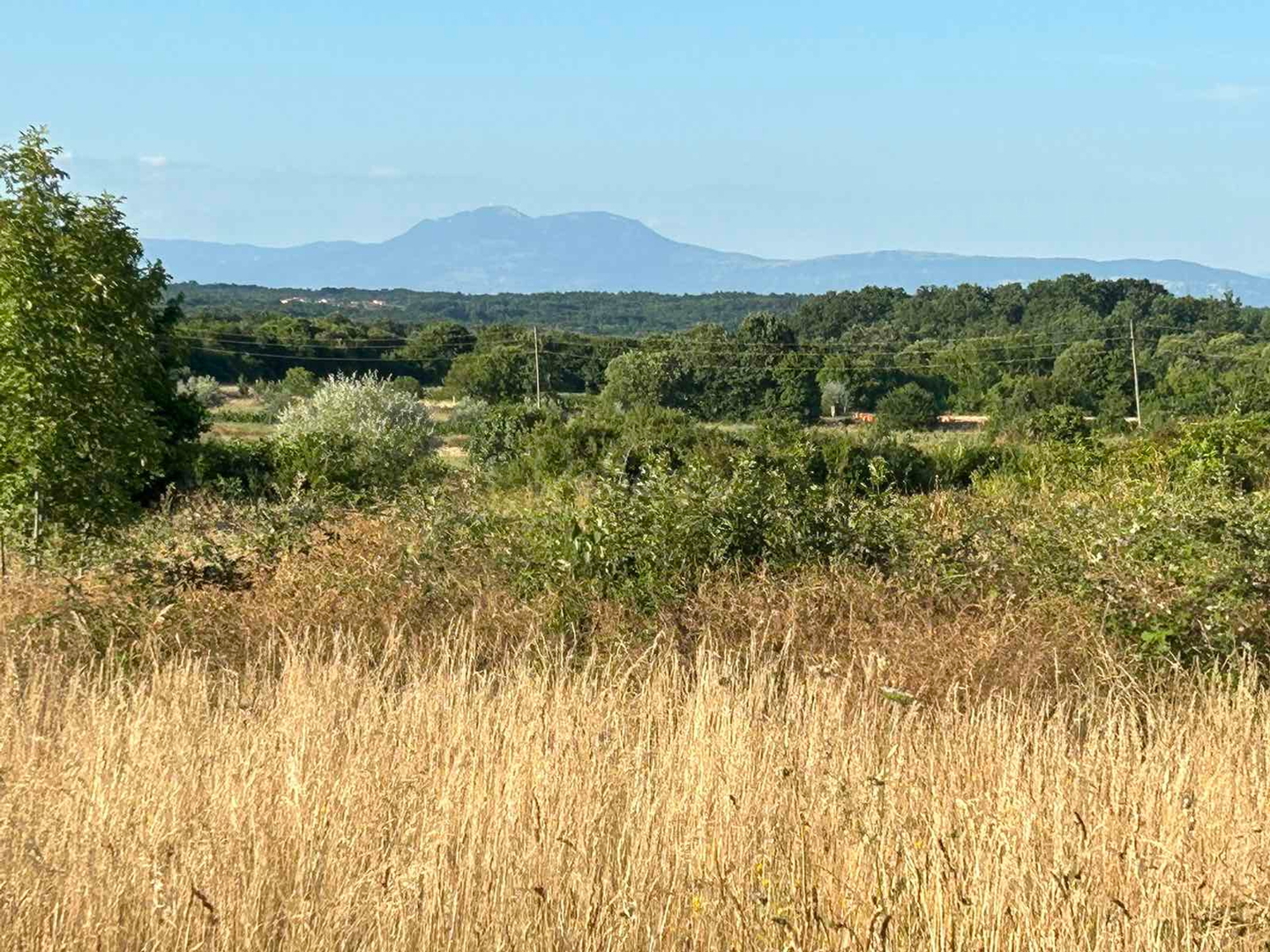 Pozemek Na prodej -  Šajini