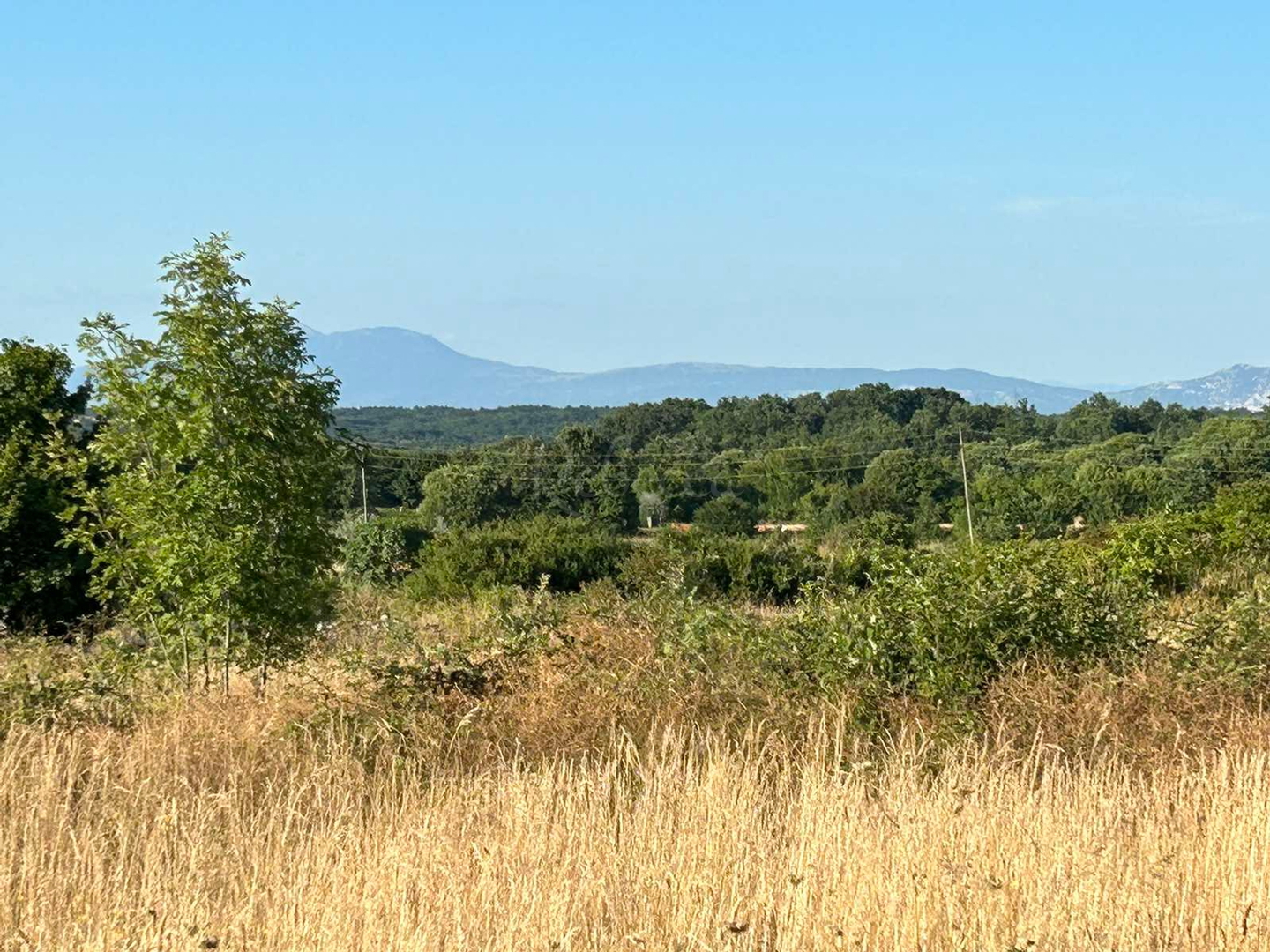 Pozemek Na prodej -  Šajini