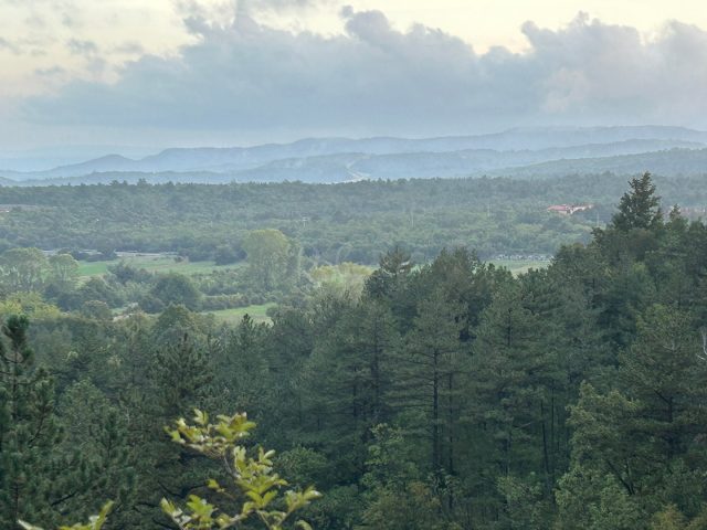 Land for sale 23921 m² – Buzet