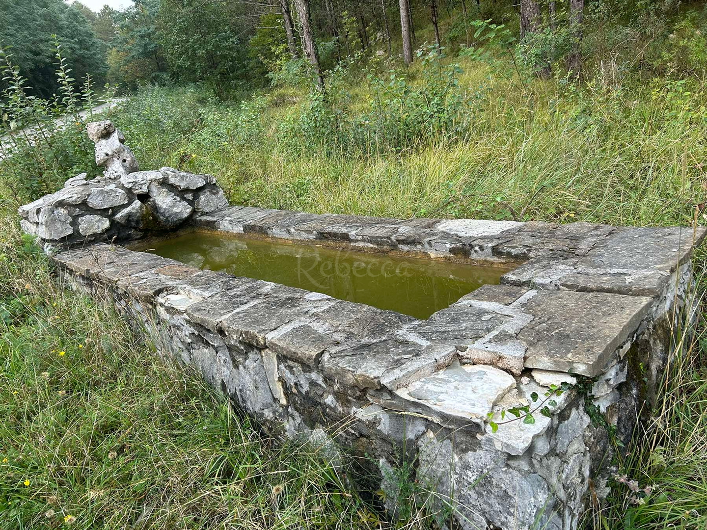 Pozemek Na prodej -  Roč