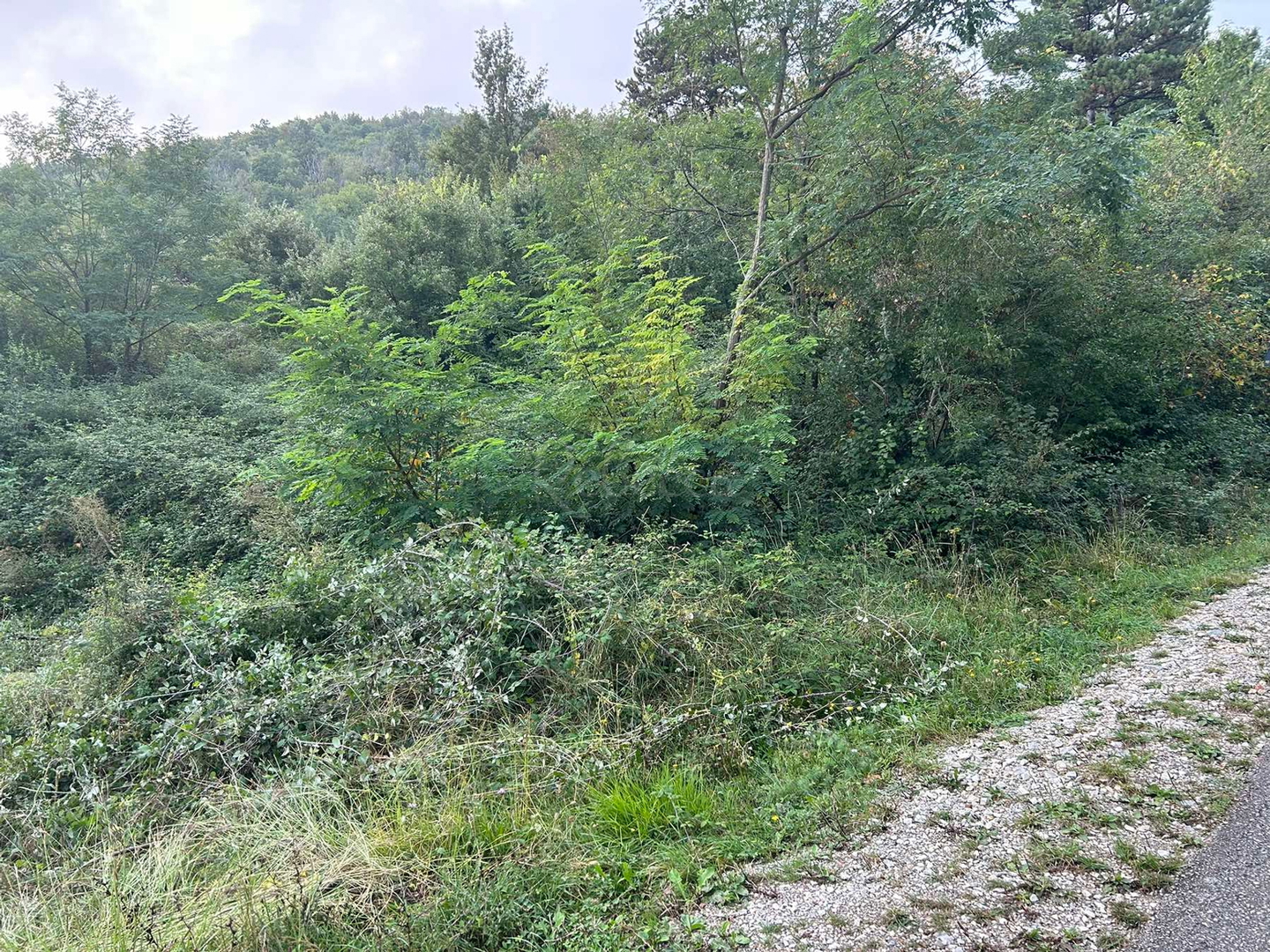 Pozemek Na prodej -  Roč