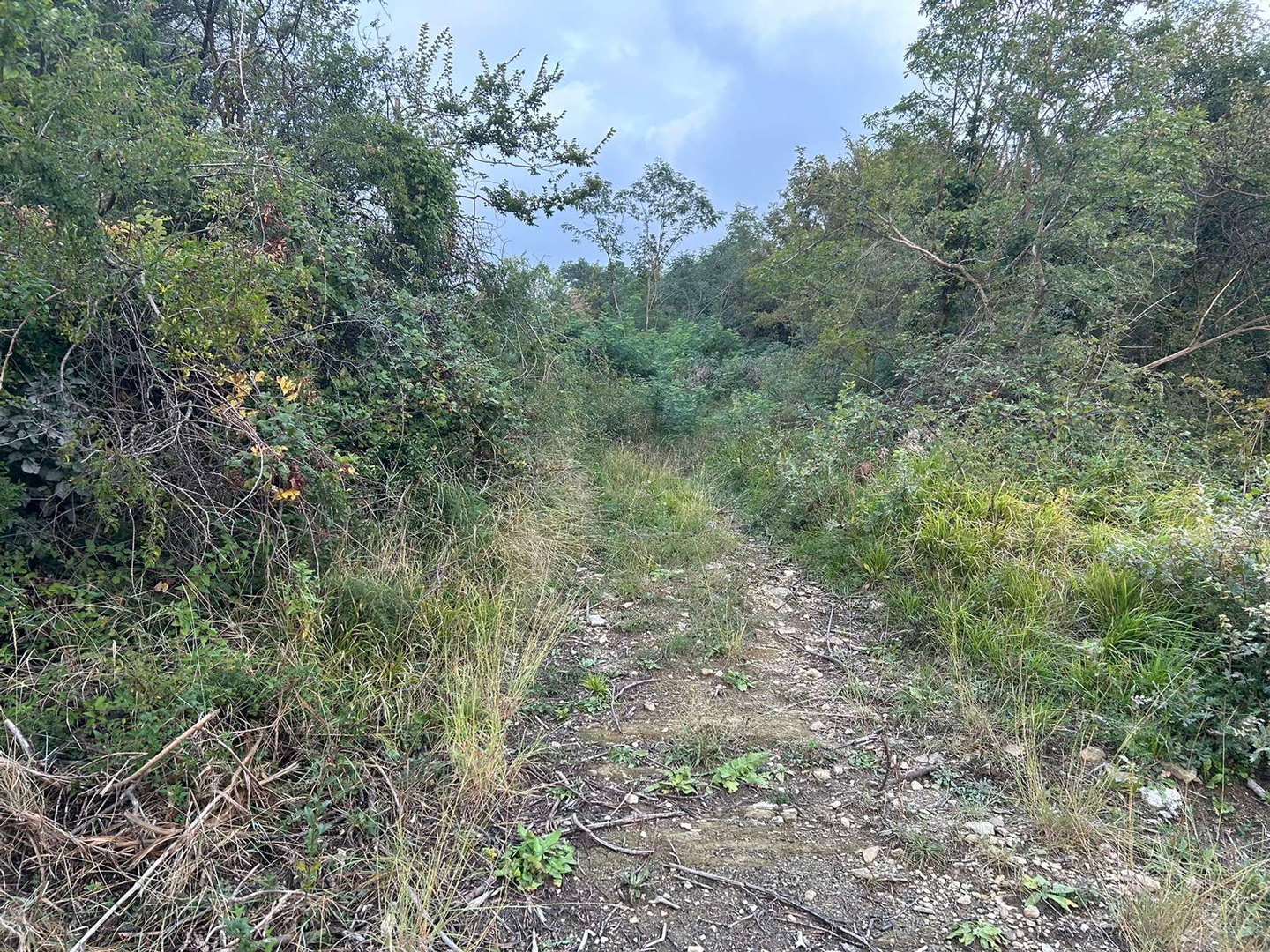 Parcela Naprodaj - Istarska Roč