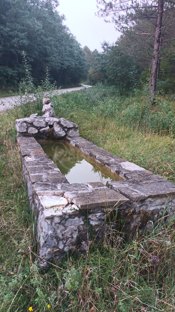 Pozemek Na prodej -  Roč