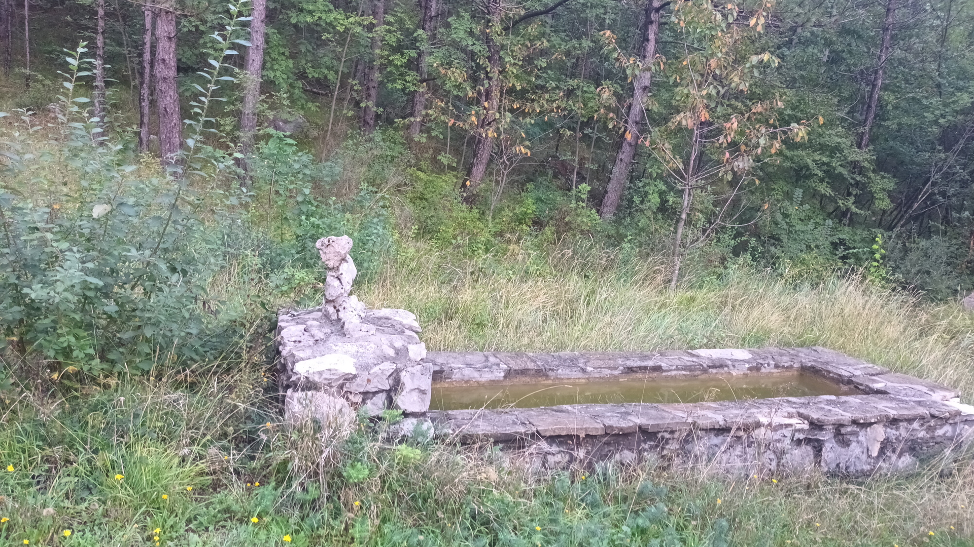 Pozemek Na prodej -  Roč